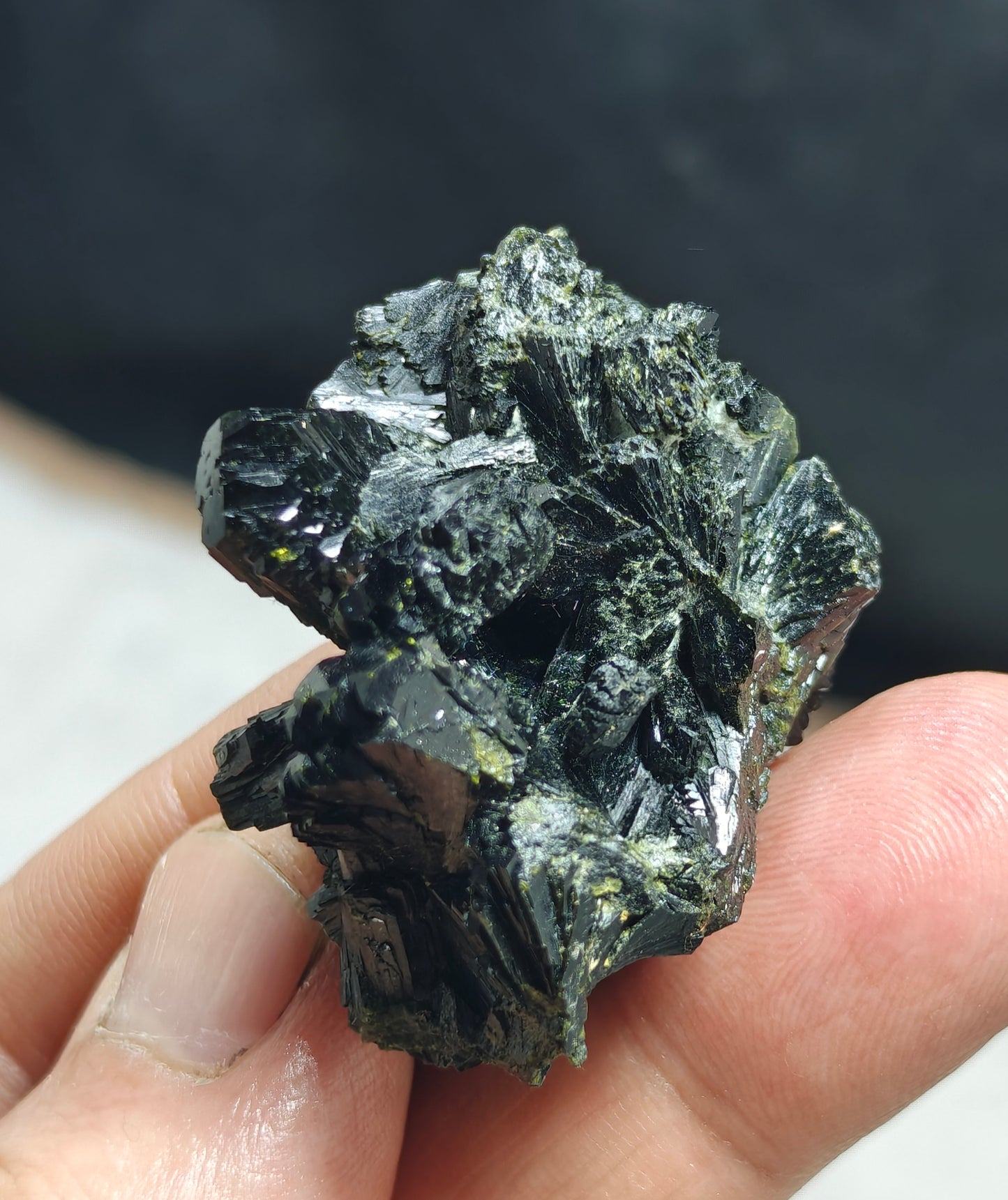 Bowtie Epidote 42 grams