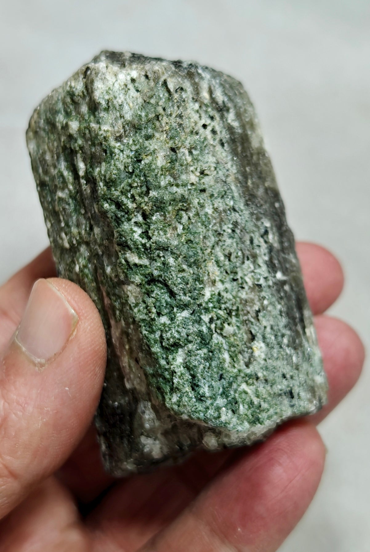 Scapolite crystal with associated epidote 253 grams