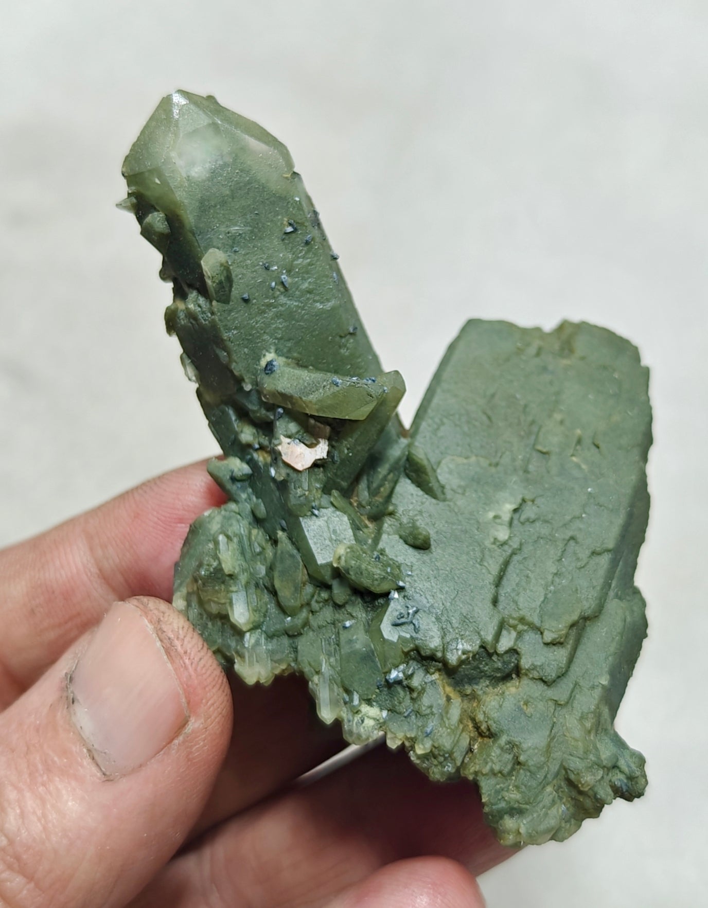 Small anatase crystals on Chlorite Quartz with small brookite 63 grams