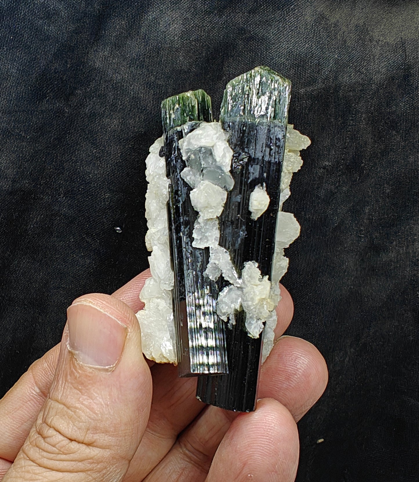 Perfectly terminated specimen of green cap Tourmalines crystals with associated albite 94 grams