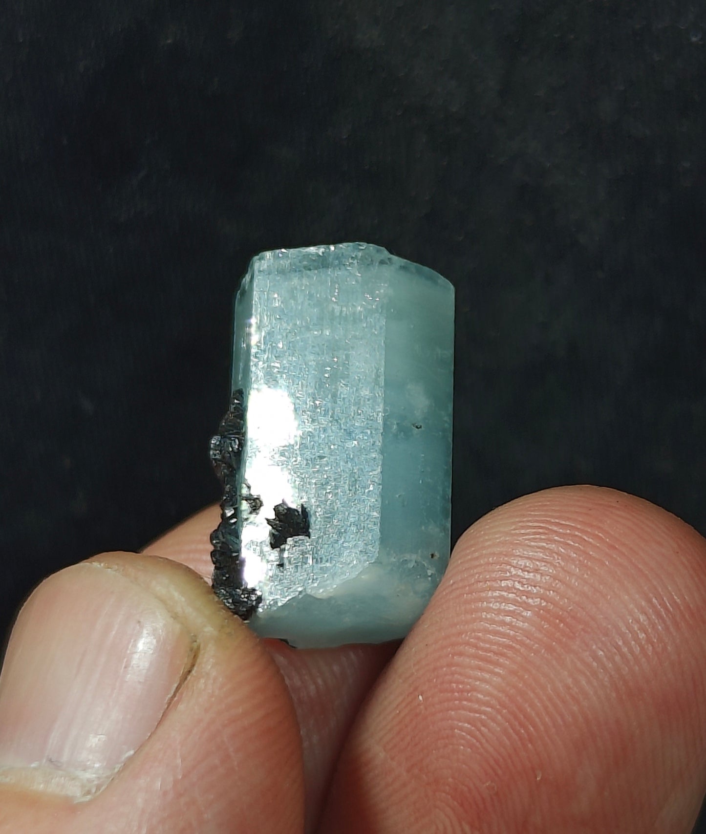 Aquamarine Crystal with tantalite 27 carats