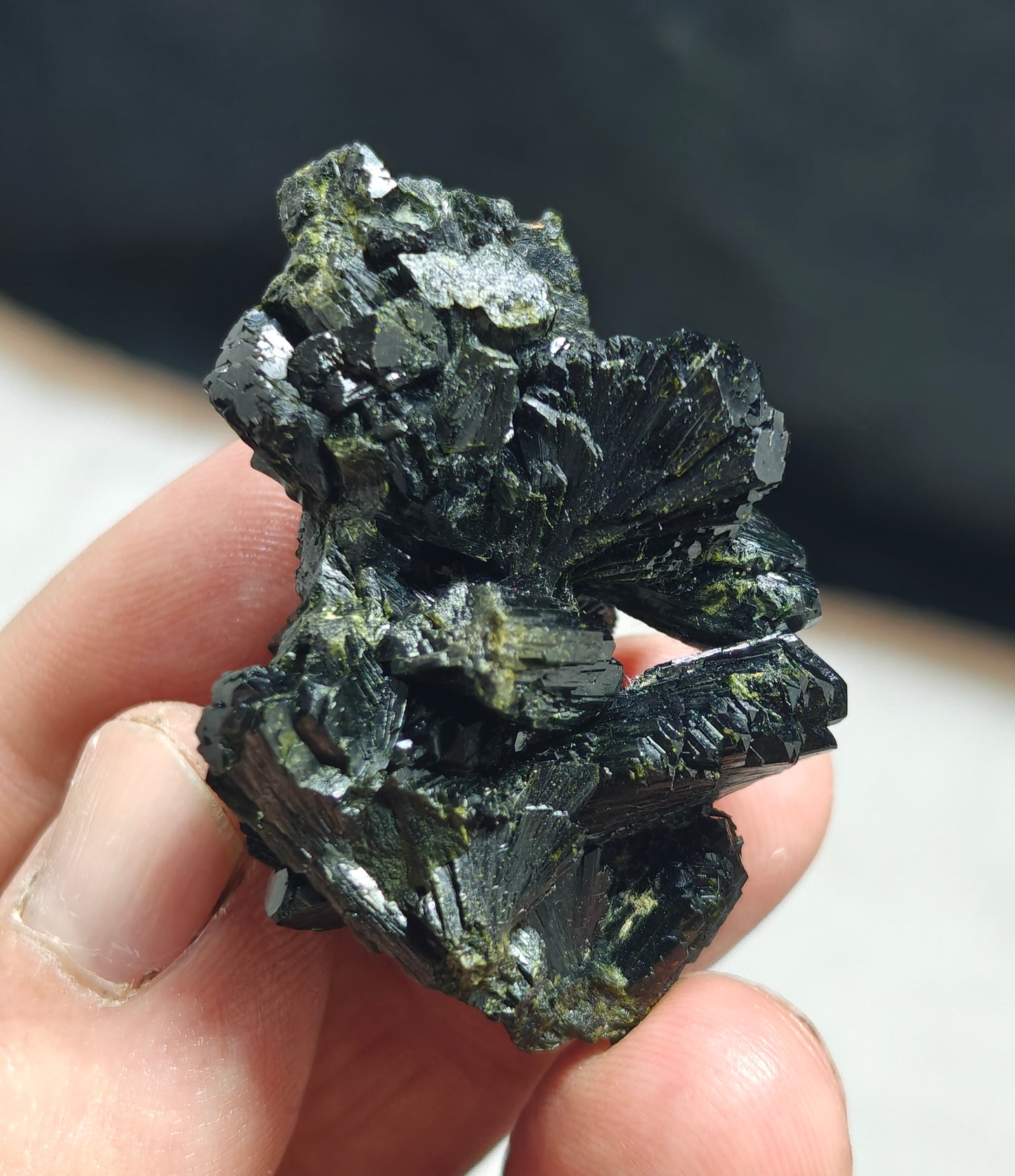 Bowtie Epidote 42 grams