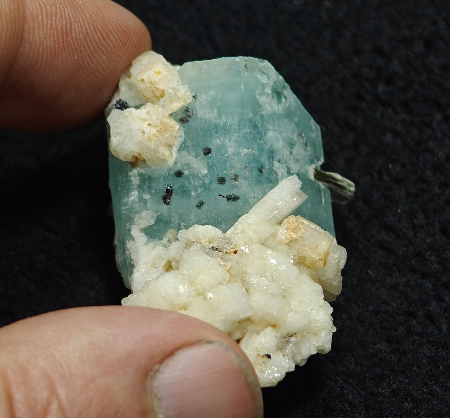 Single beautiful terminated Afghanistan Aquamarine Crystal with albite 25 grams