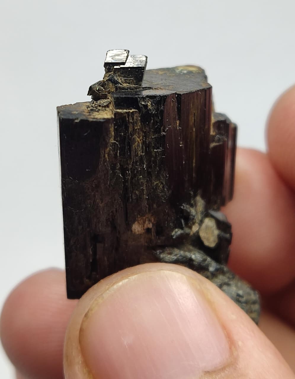 Natural aegirine crystal 11 grams