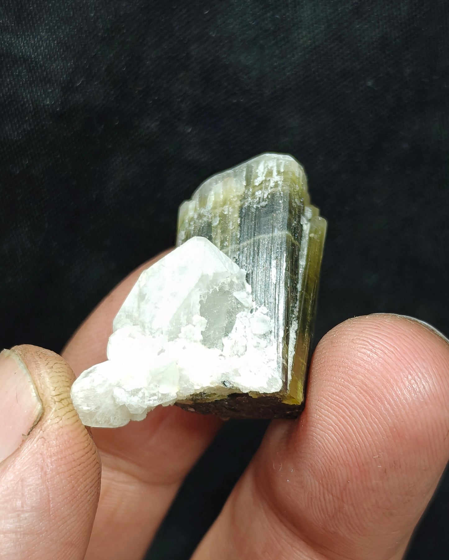 Natural dark green Tourmaline crystal with white head and associated quartz 14 grams