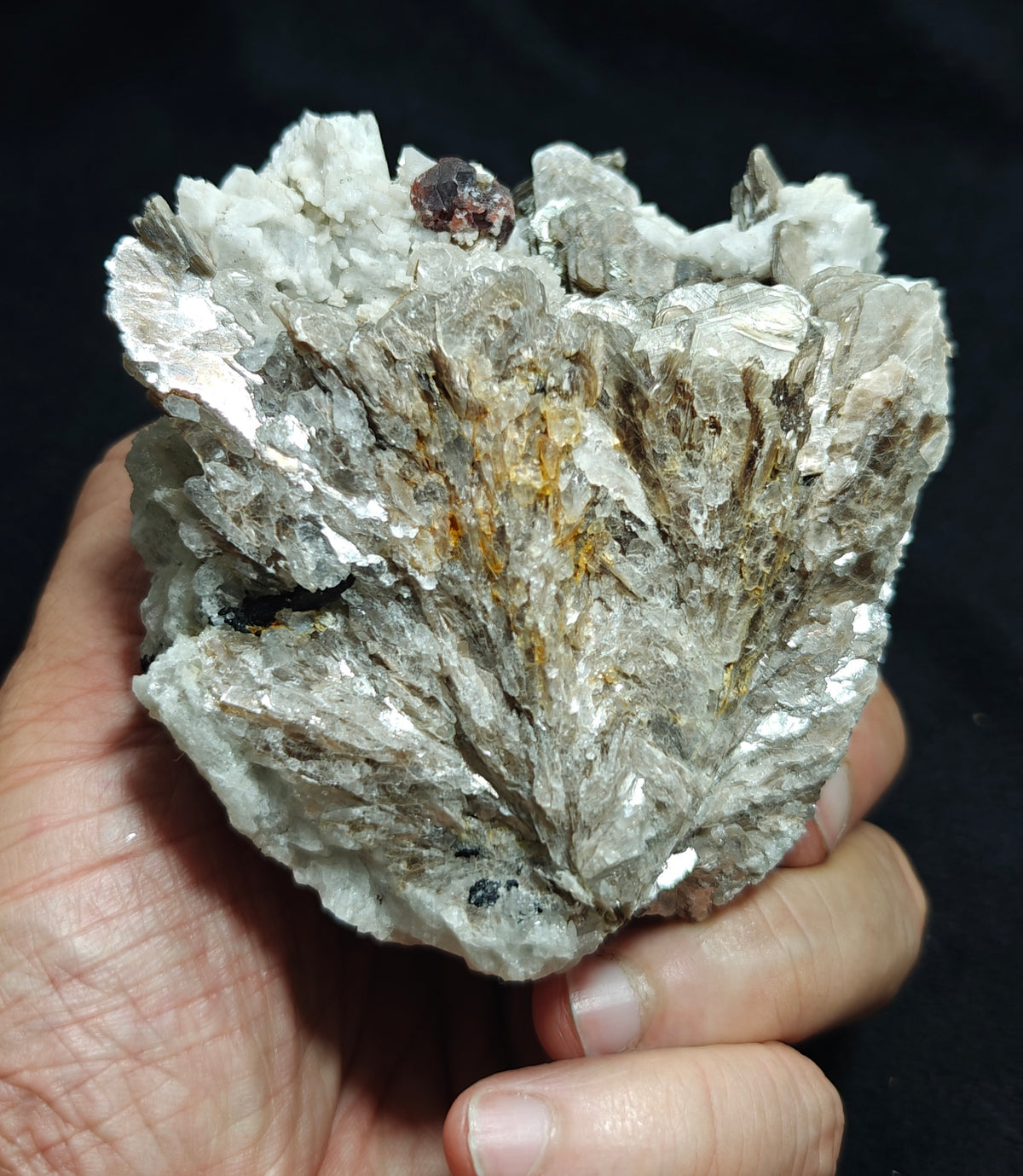Natural spessartine garnet embedded in muscovite, with albite and quartz 544 grams