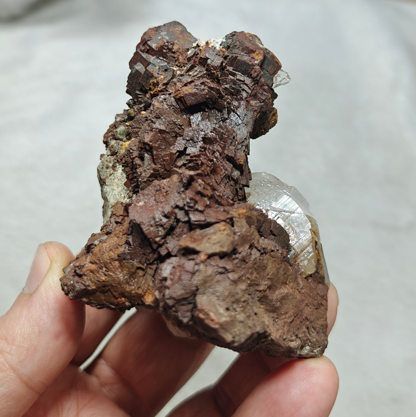 Natural siderite specimen on matrix with quartz 234 grams