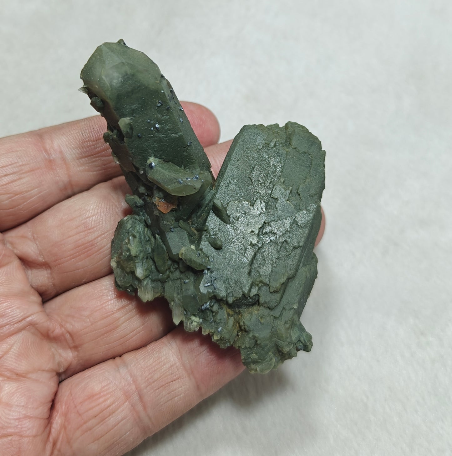 Small anatase crystals on Chlorite Quartz with small brookite 63 grams