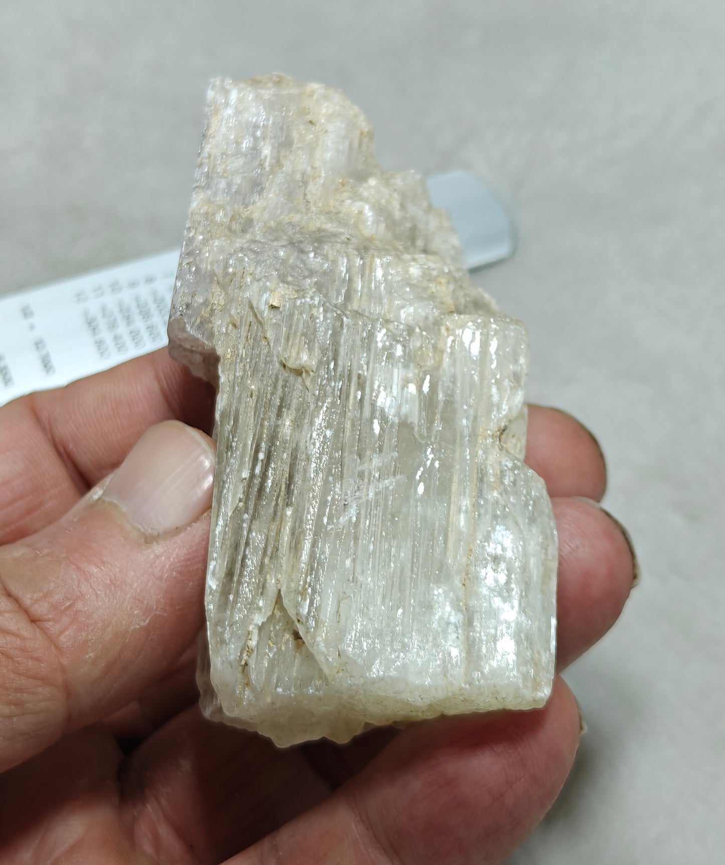 An amazing specimen of Bicolor terminated spodumene crystal 157 grams