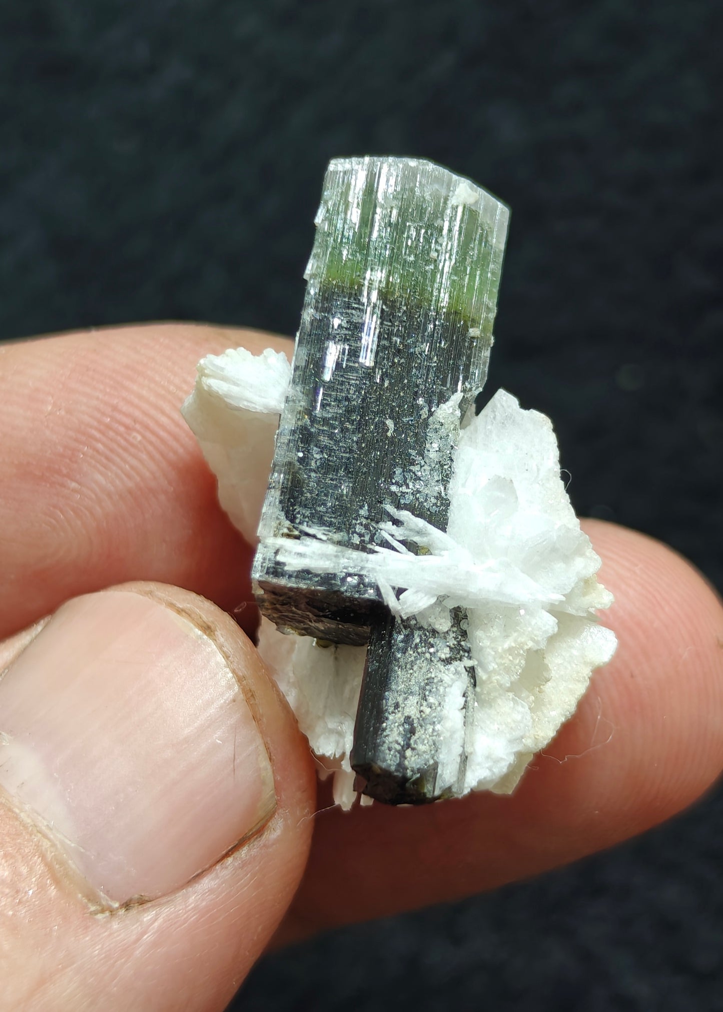 Natural multicolor Tourmaline crystal 7 grams