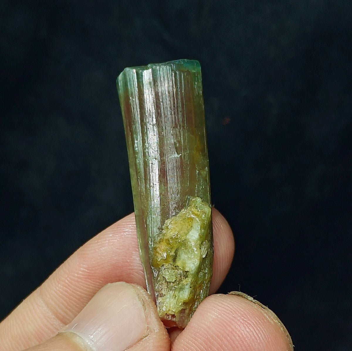 Natural watermelon Tourmaline crystal 45 carats