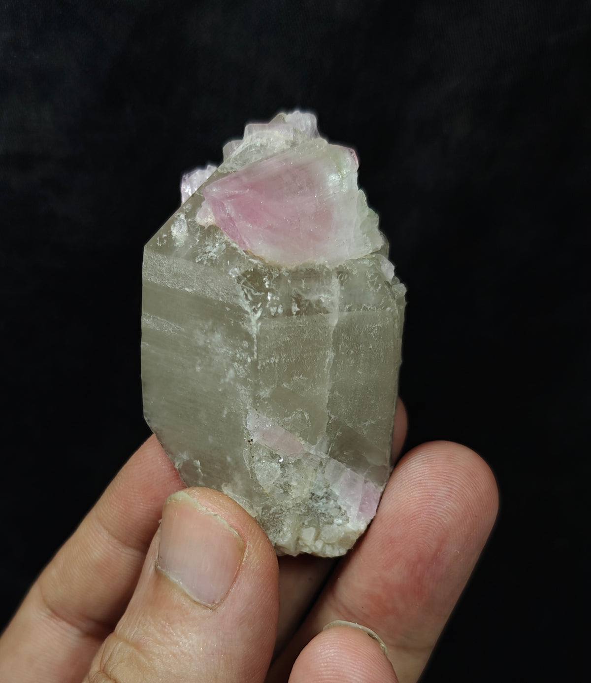 Pink Tourmaline crystal on smoky quartz 80g