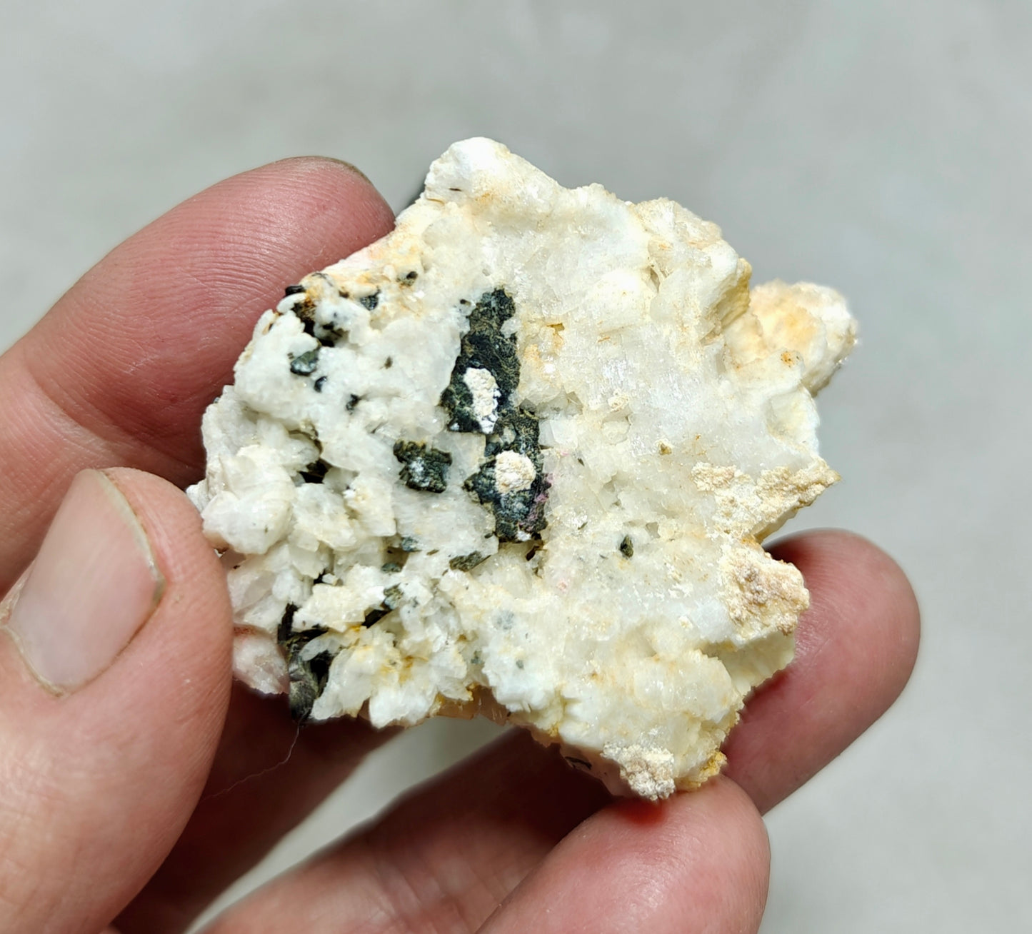 Tourmaline crystals on matrix with Albite attachment self standing 89 grams