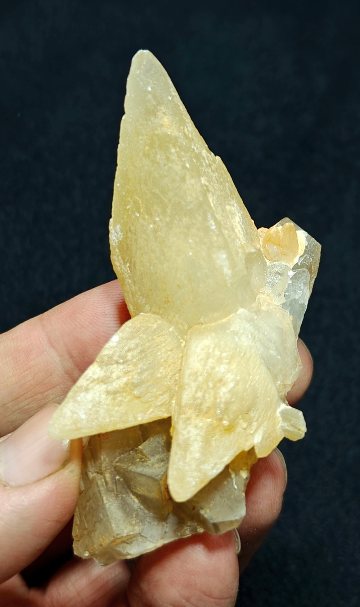 Single beautiful Dogteeth calcite crystals cluster with beautiful terminations with Fluorite combinations 80 grams