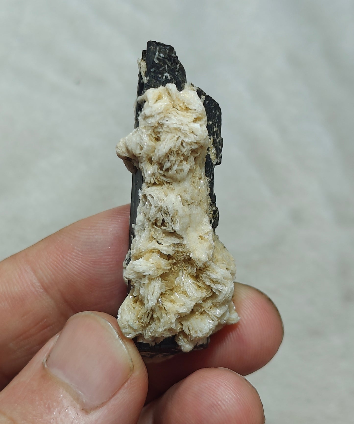 Natural Tourmaline crystal with associated Albite 30 grams