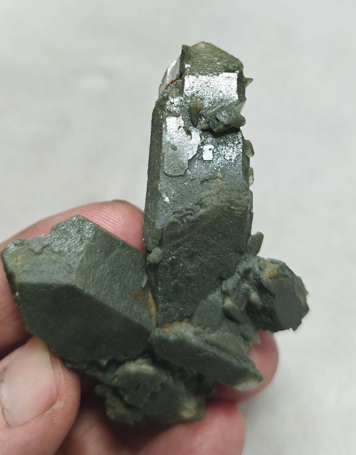 Small anatase crystals on Chlorite Quartz with small brookite 63 grams