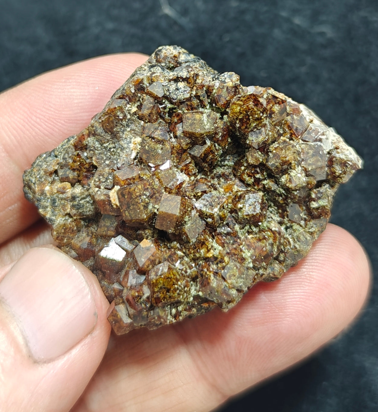 Single beautiful Garnet variety andradite clusters specimen 46 grams