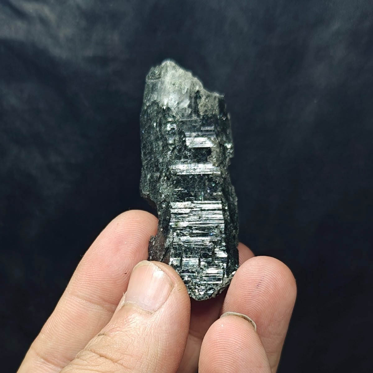 Terminated Chlorite Rutile Etched Quartz crystal 49 grams