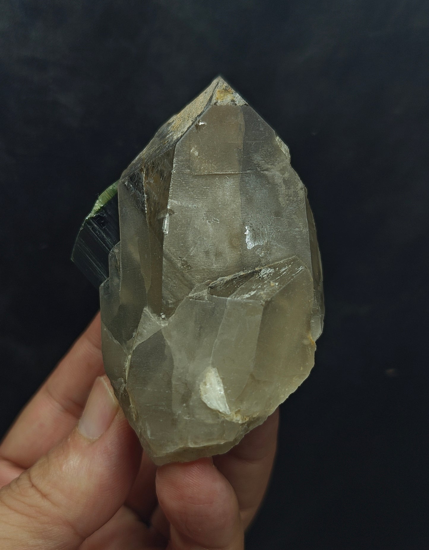 Natural greencap black/green Tourmaline crystal with smoky quartz 212 grams