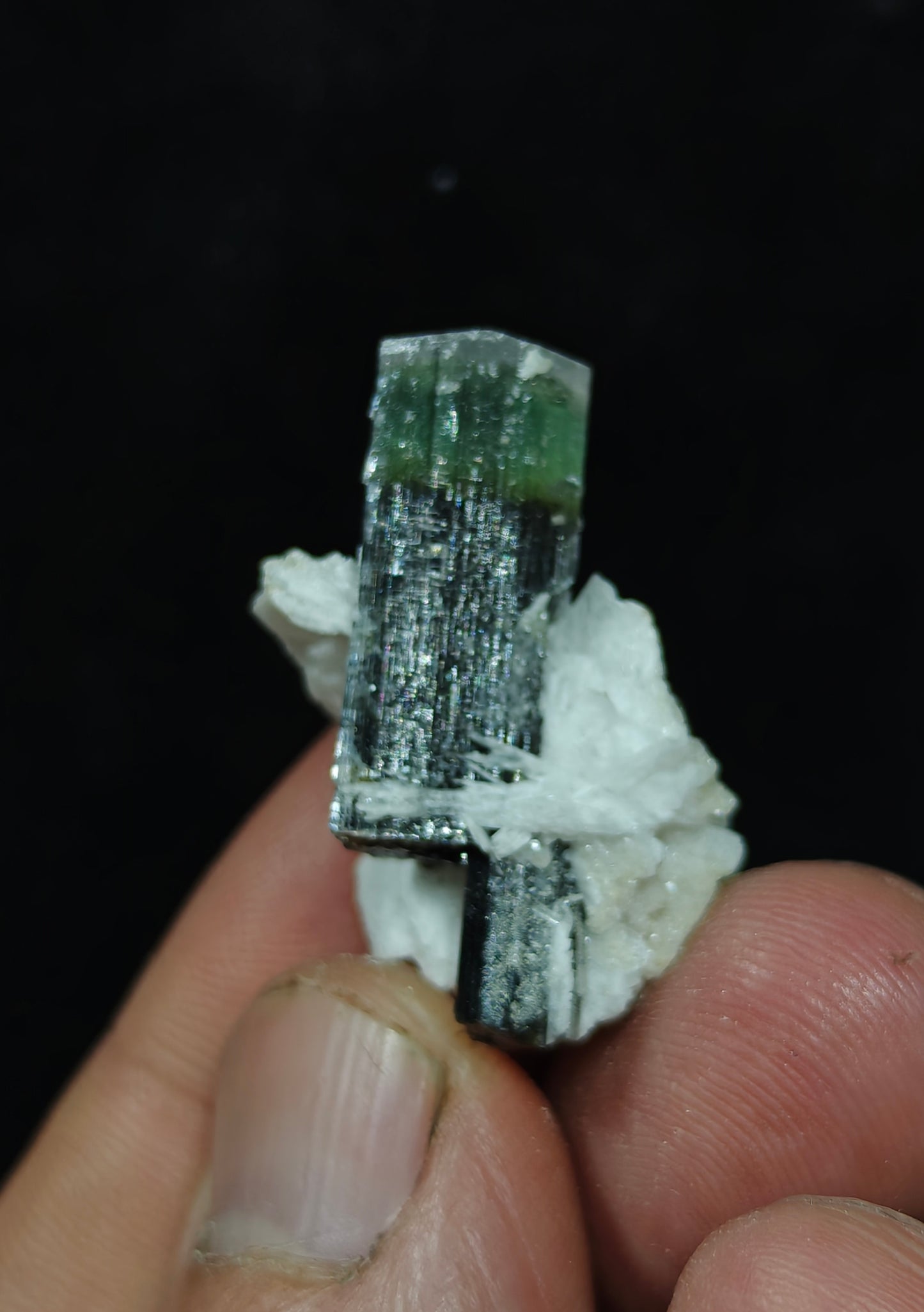 Natural multicolor Tourmaline crystal 7 grams