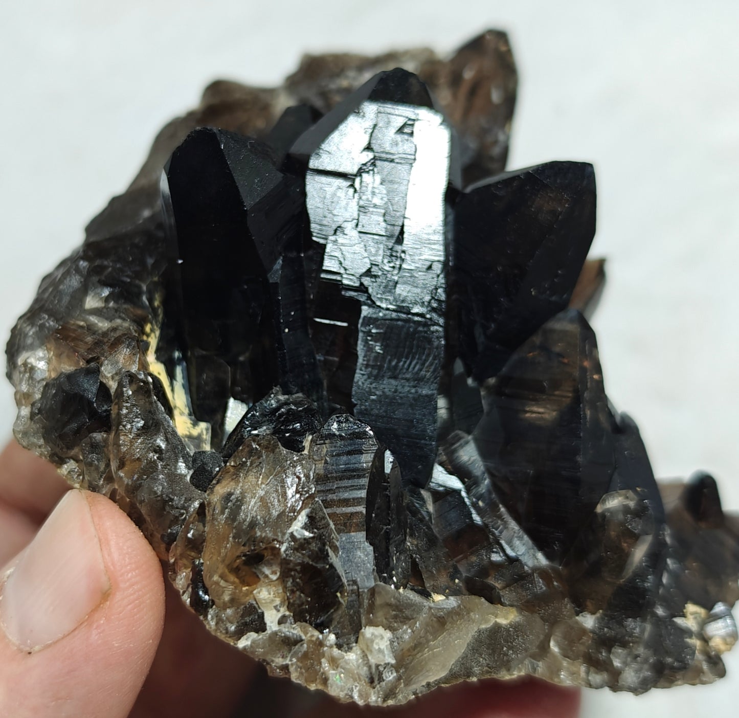 Natural smoky quartz cluster 296 grams