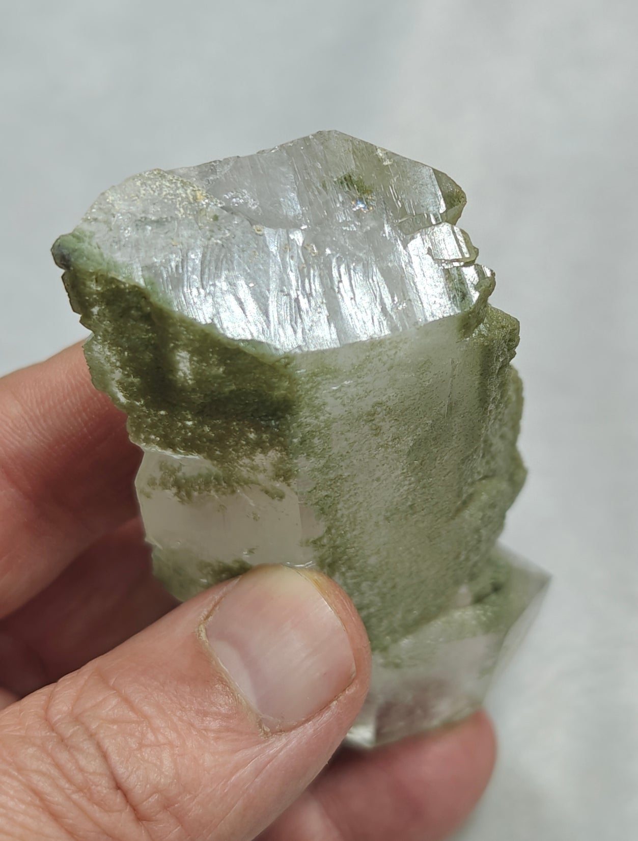 Faden/Chlorite Quartz Crystal 127 grams