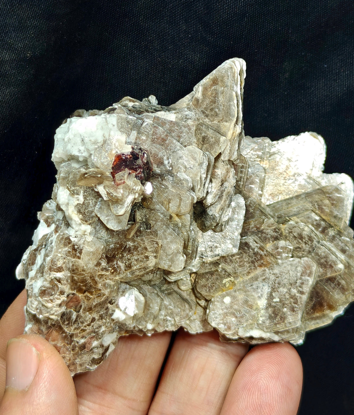 Natural spessartine garnet embedded in muscovite with albite 152 grams