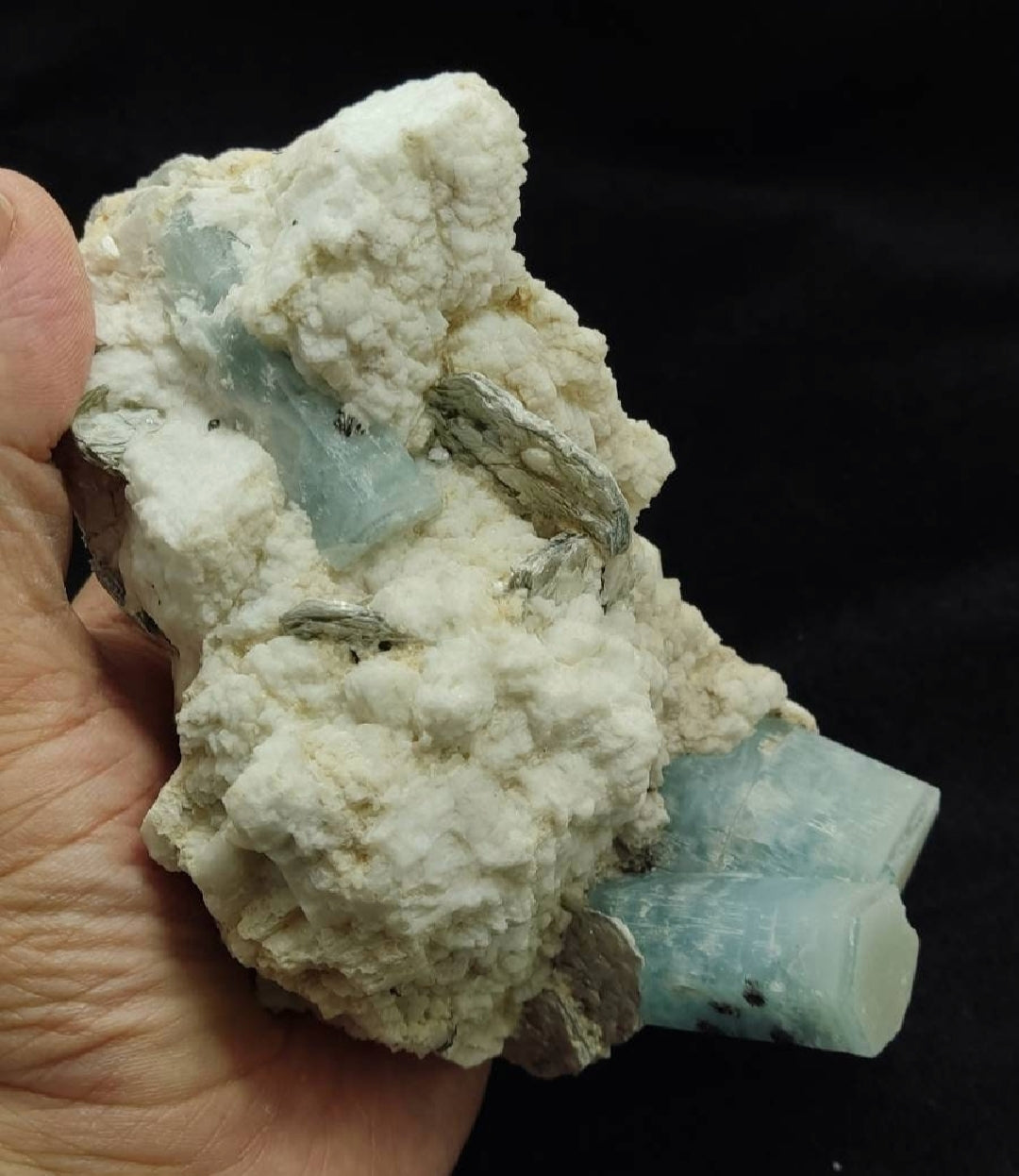 Aesthetic specimen of Aquamarine Crystals with associated tantalite on matrix of Albite, mica and some Schorl 1026 grams