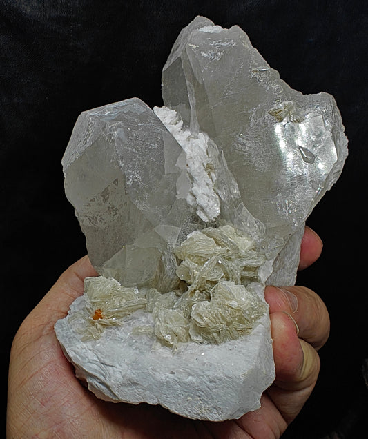 Amazing specimen of quartz crystals on Albite with muscovite and microlite 1099 grams