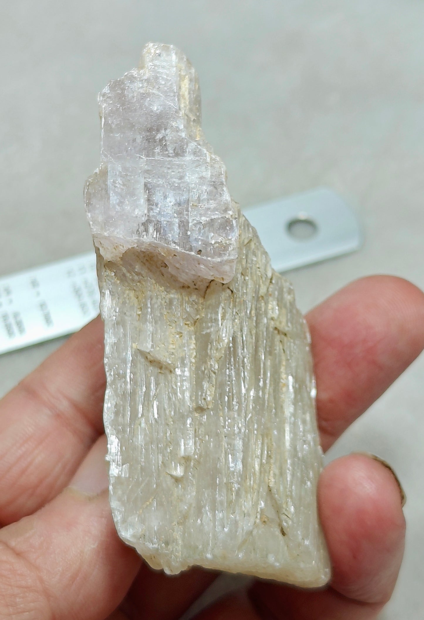 An amazing specimen of Bicolor terminated spodumene crystal 157 grams