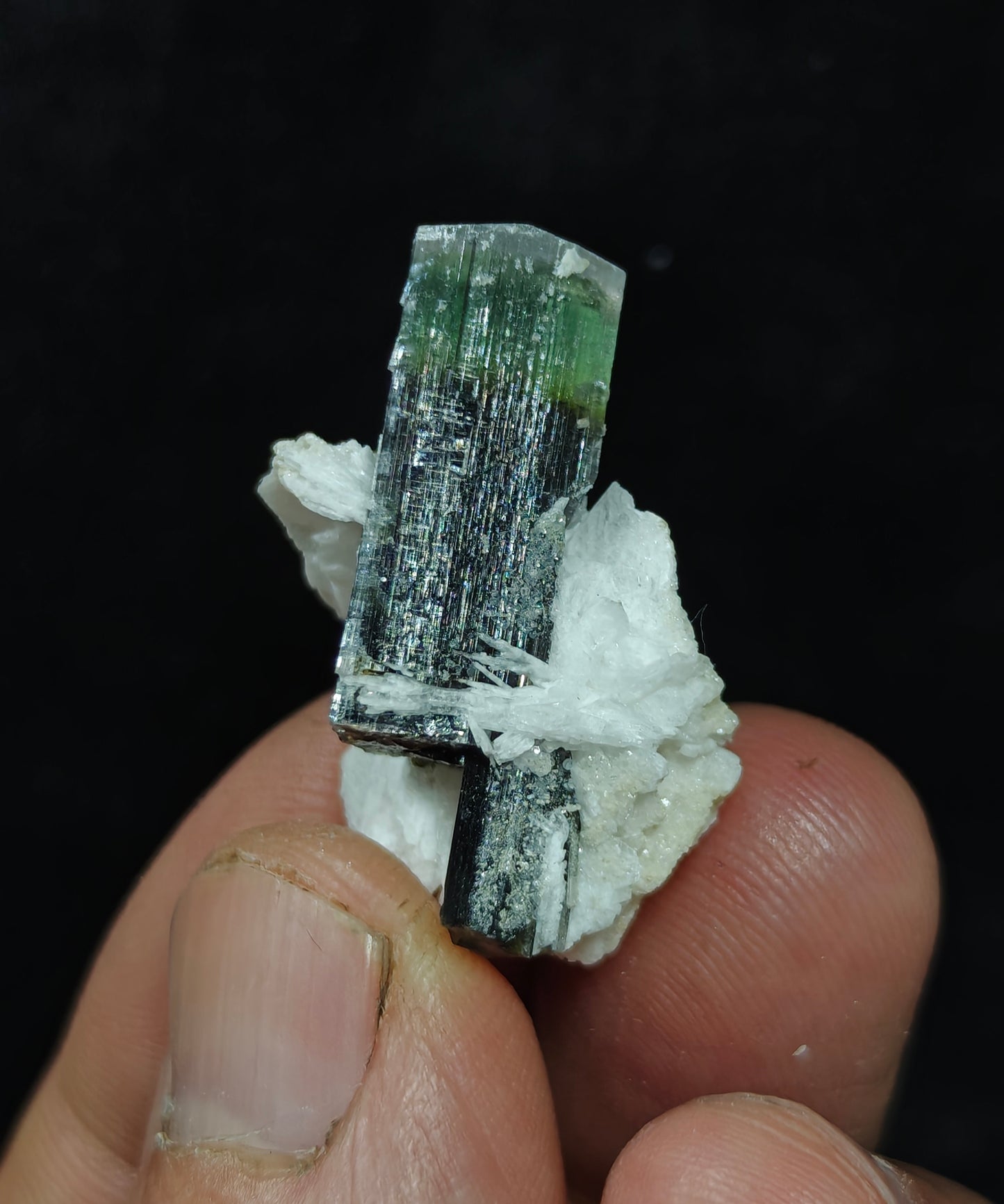 Natural multicolor Tourmaline crystal 7 grams