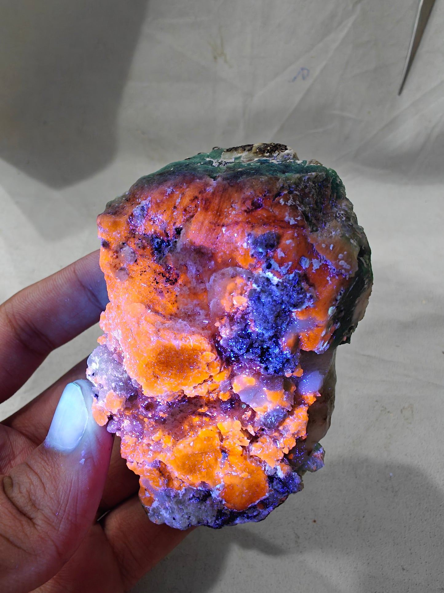 Natural highly fluorescent sodalite in matrix 178 grams