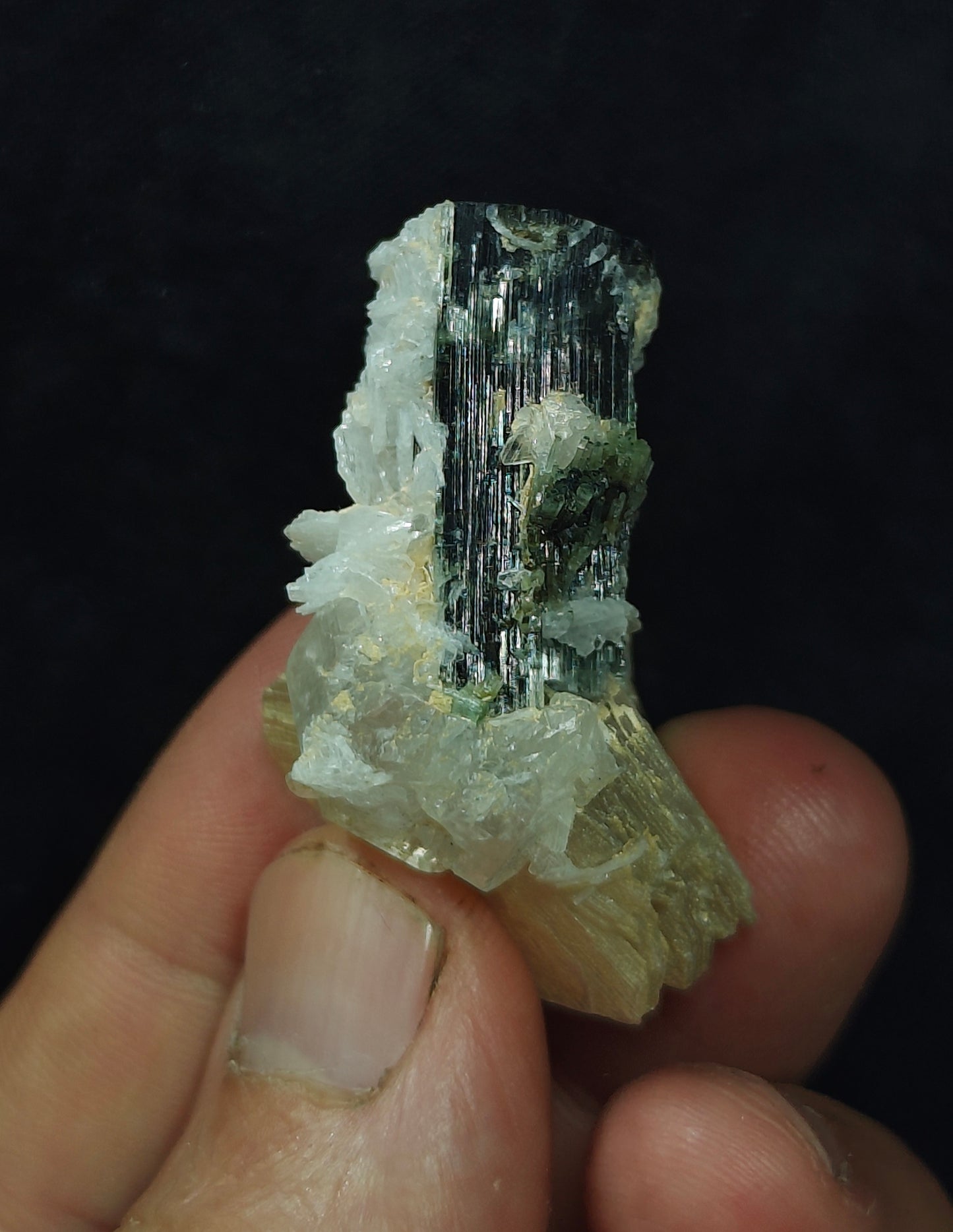 Natural dark green color Tourmaline crystal with associated cleavelandite, muscovite and a small quartz 24grams