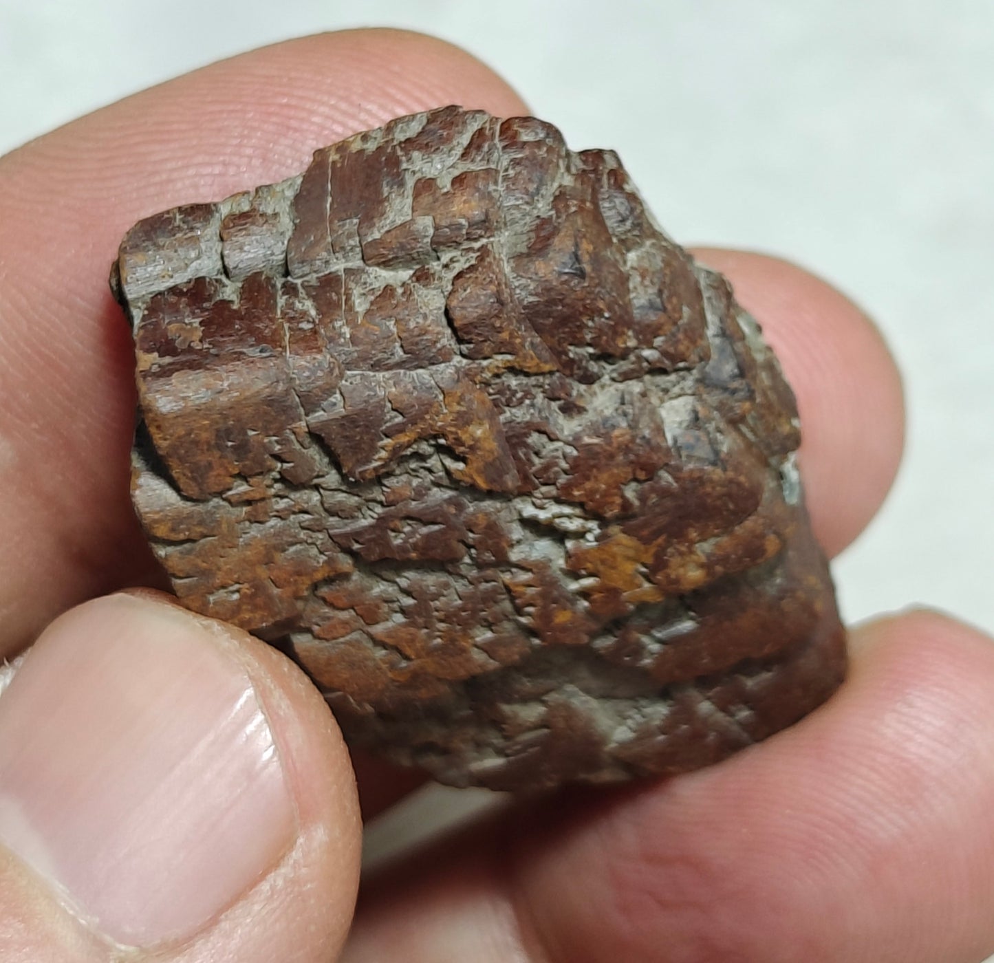 Natural siderite specimen 12 grams