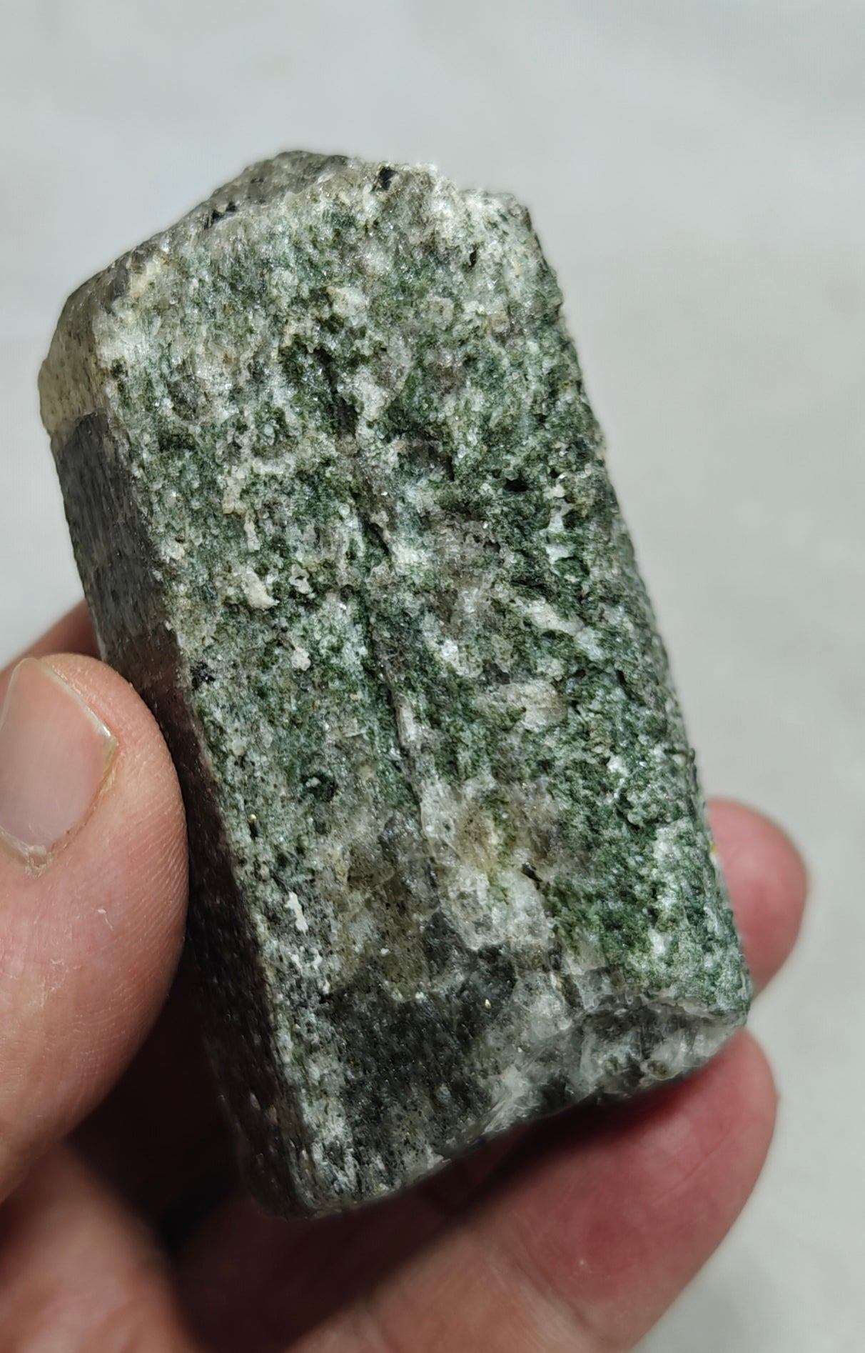 Scapolite crystal with associated epidote 253 grams