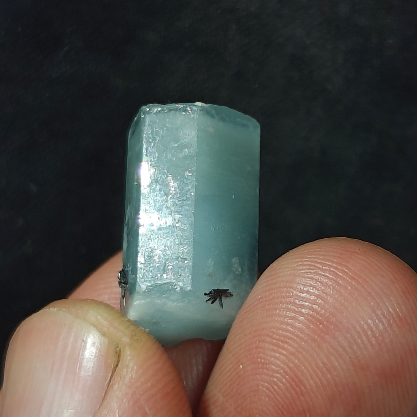 Aquamarine Crystal with tantalite 27 carats