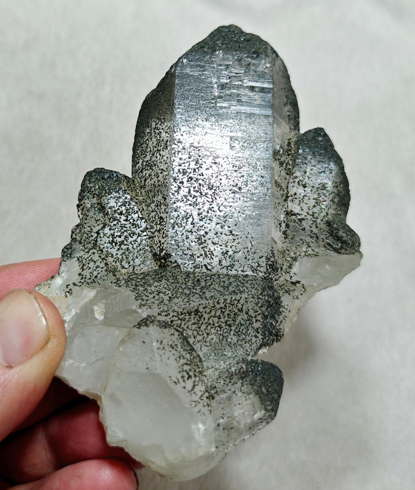 Single beautifully terminated quartz Crystals with sprinkled chlorite 237 grams