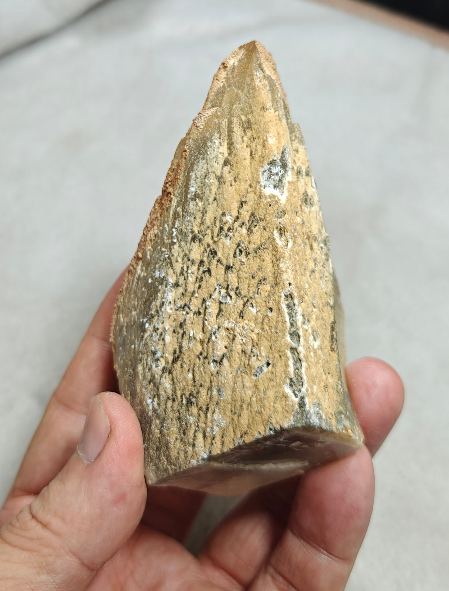 Naturally terminated Dogteeth Calcite Crystal 274 grams