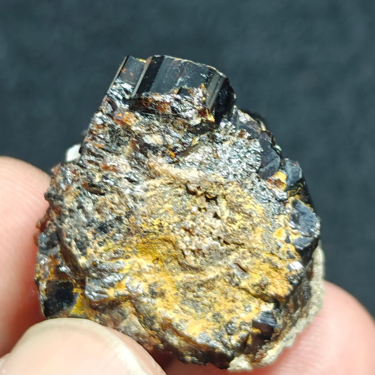Natural dark brown Vesuvianite crystal on matrix 25 grams