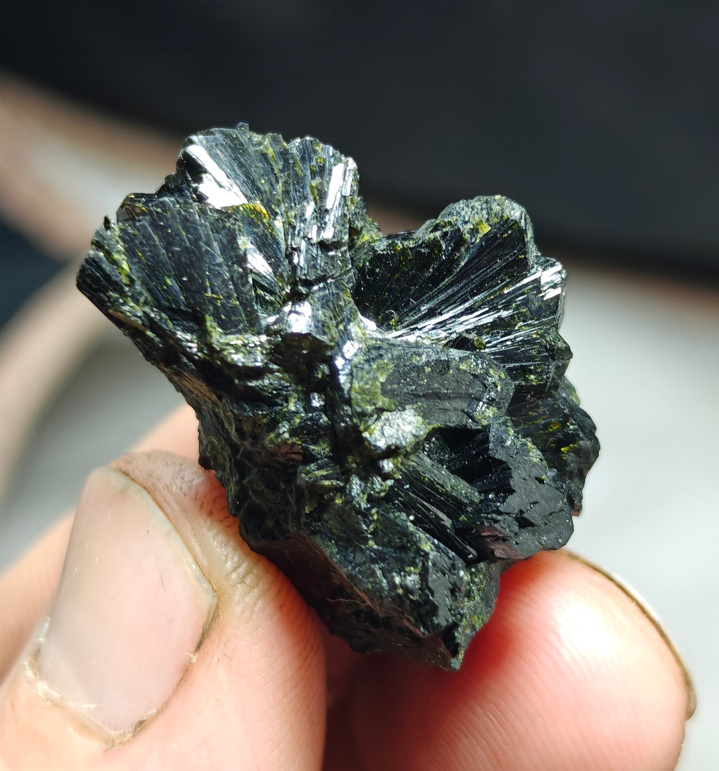 bowtie Epidote 20 grams