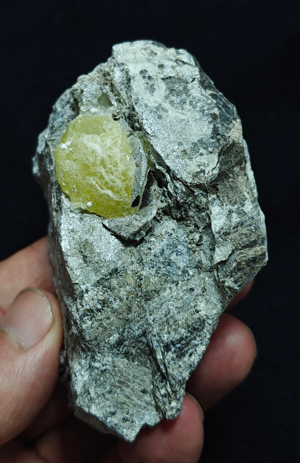 Natural yellow Brucite on matrix 194 grams