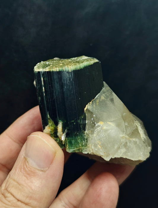 Natural greencap black/gree Tourmaline crystal with smoky quartz 212 grams