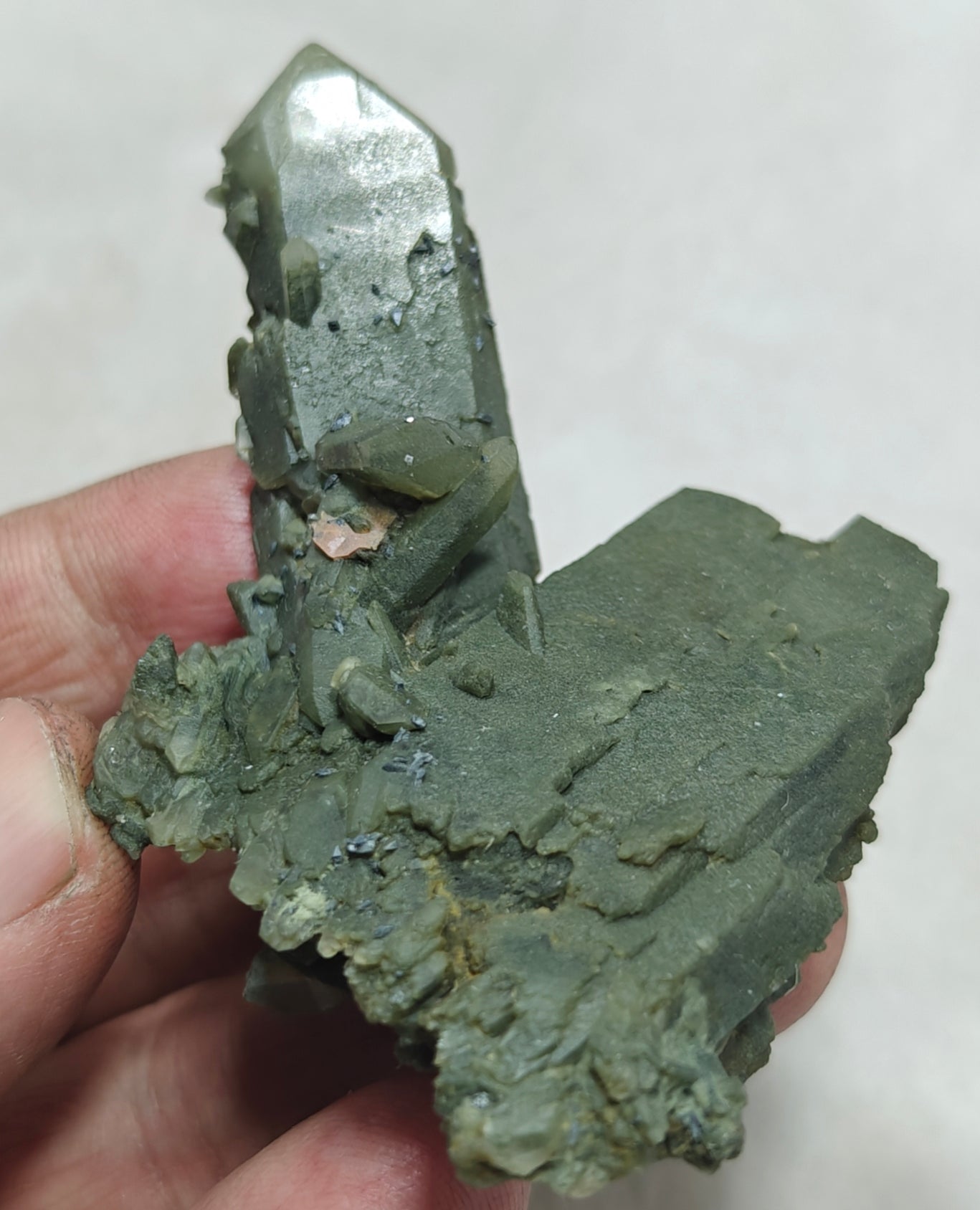 Small anatase crystals on Chlorite Quartz with small brookite 63 grams