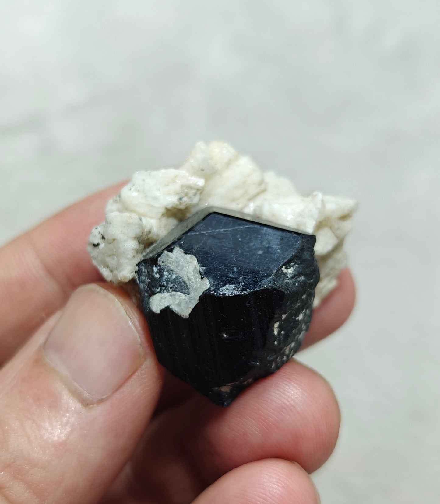 Natural Tourmaline crystal specimen with associated albite 29 grams