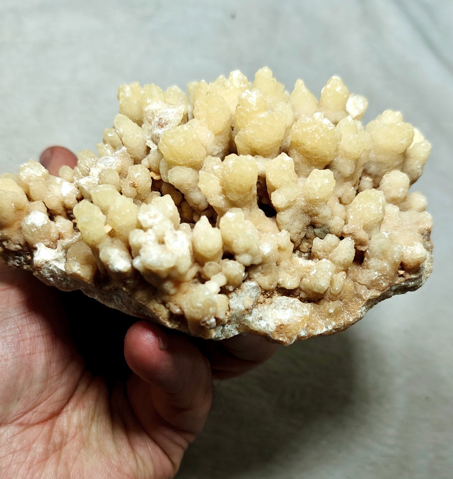 Natural aragonite crystals cluster flower shape 536 grams