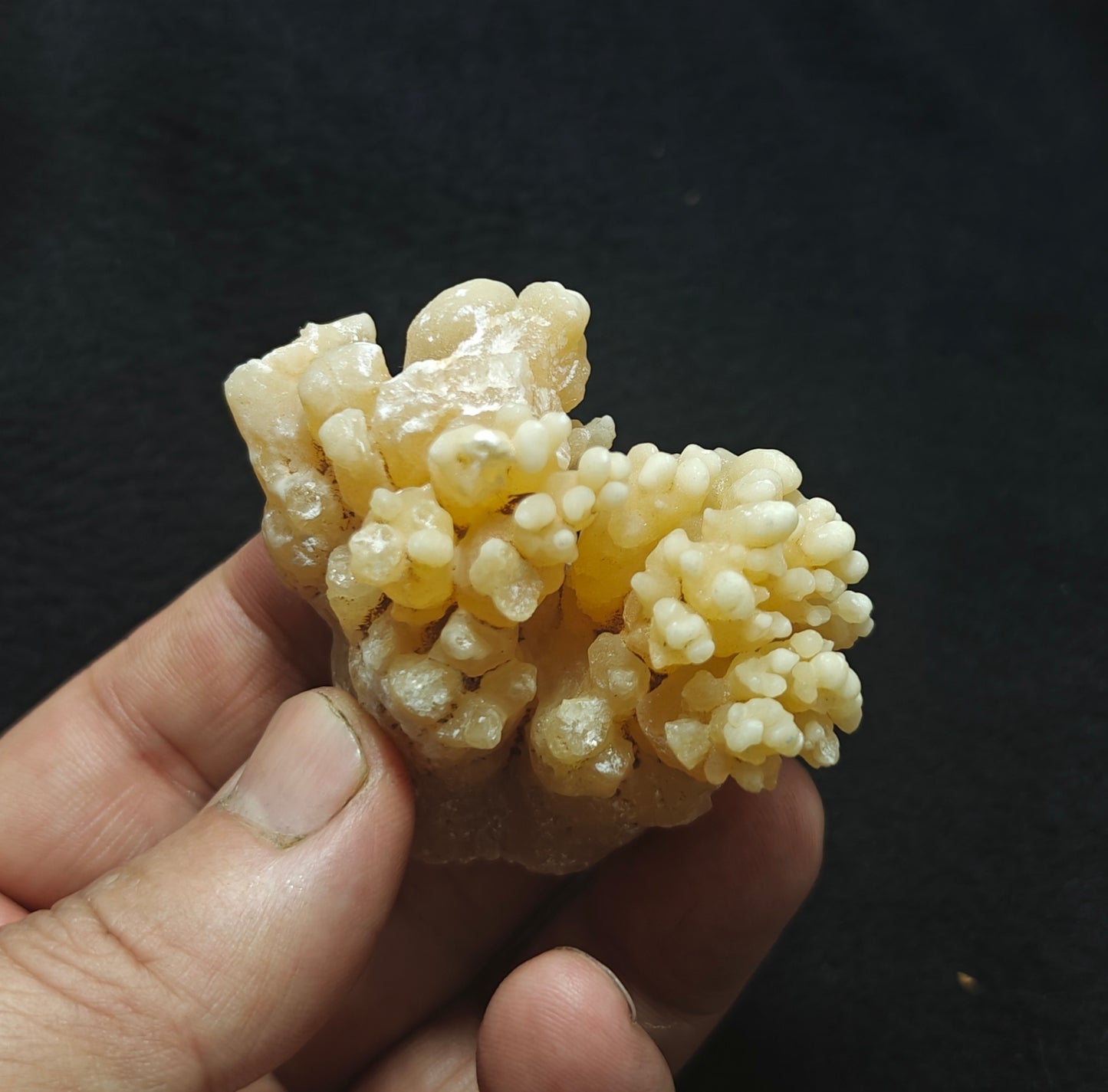 An aesthetic specimen of aragonite flower shape natural terminated crystals 89 grams