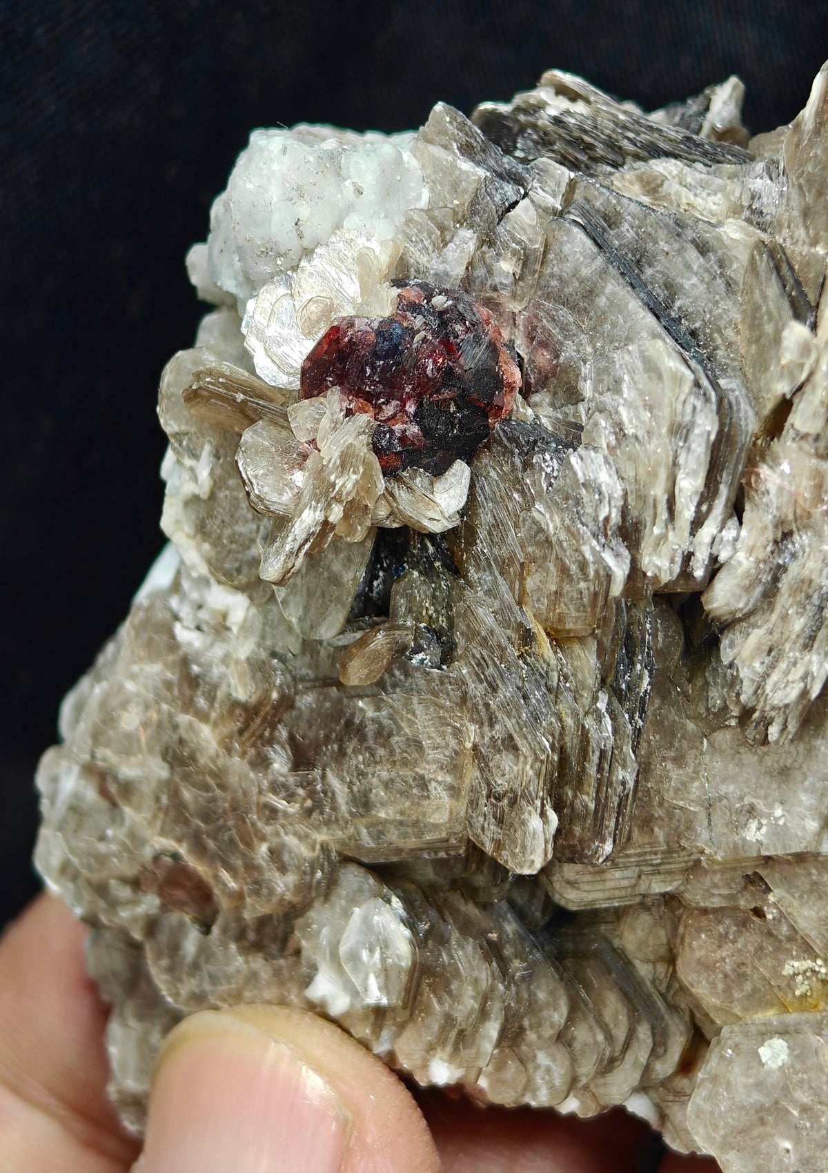 Natural spessartine garnet embedded in muscovite with albite 152 grams