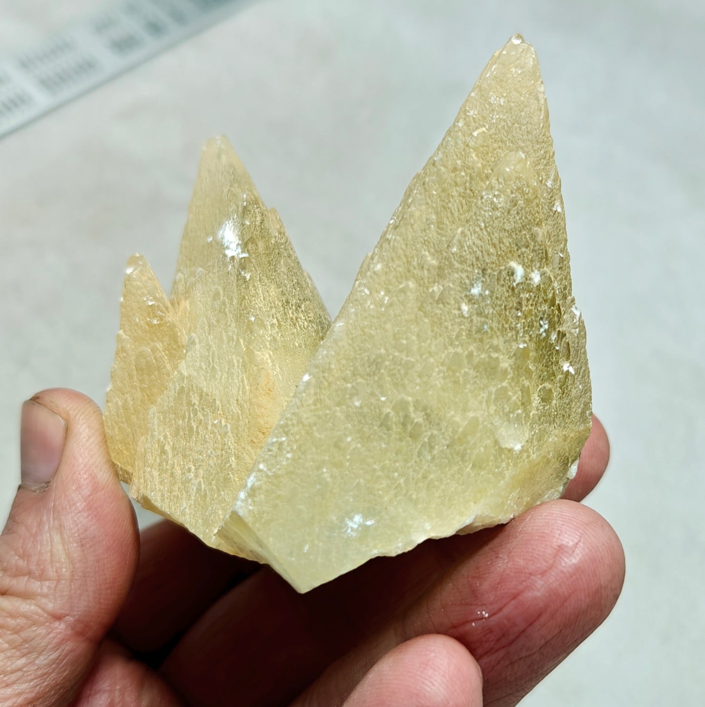 Dogteeth calcite crystals cluster with beautiful terminations 218 grams