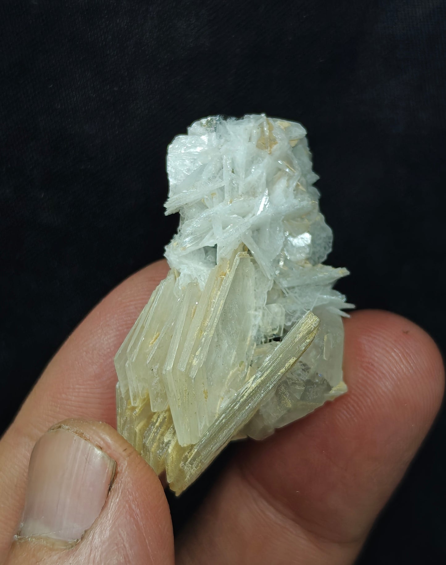 Natural dark green color Tourmaline crystal with associated cleavelandite, muscovite and a small quartz 24grams