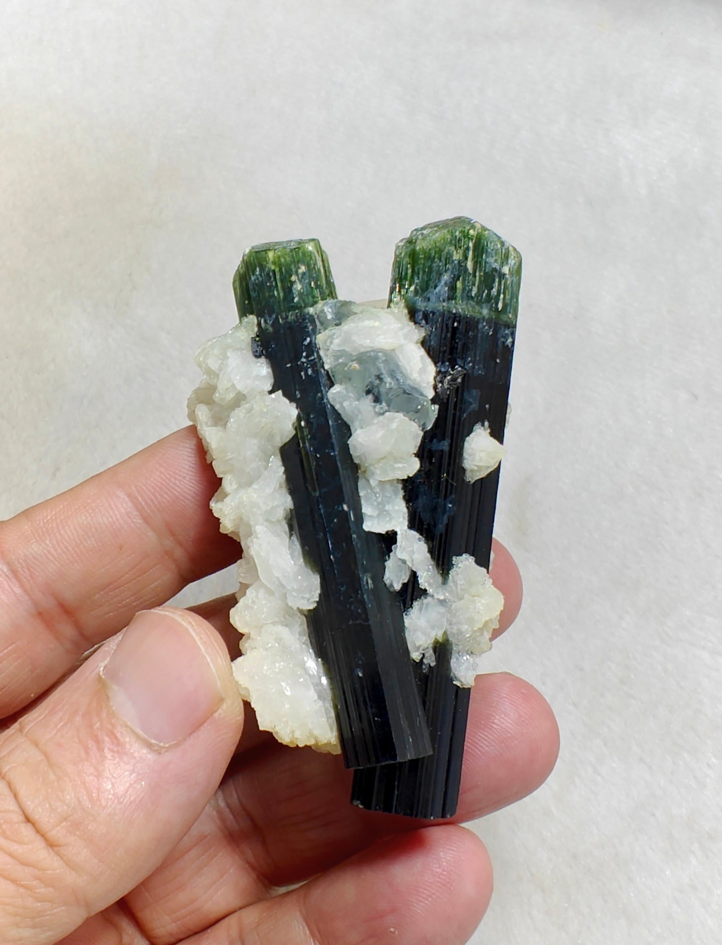 Perfectly terminated specimen of green cap Tourmalines crystals with associated albite 94 grams